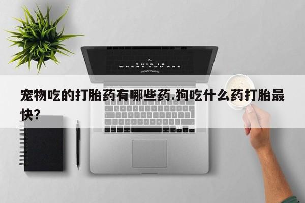 米非司酮在线下单宠物吃的打胎药有哪些药.狗吃什么药打胎最快？