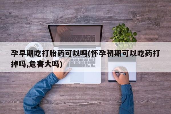 米非司酮在线下单孕早期吃打胎药可以吗(怀孕初期可以吃药打掉吗,危害大吗)