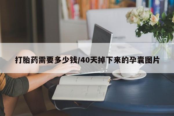 米非司酮在线下单打胎药需要多少钱/40天掉下来的孕囊图片